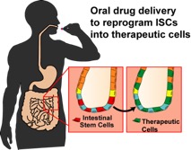 Qun Wang research graphic