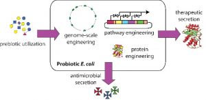 thomas mansell research image