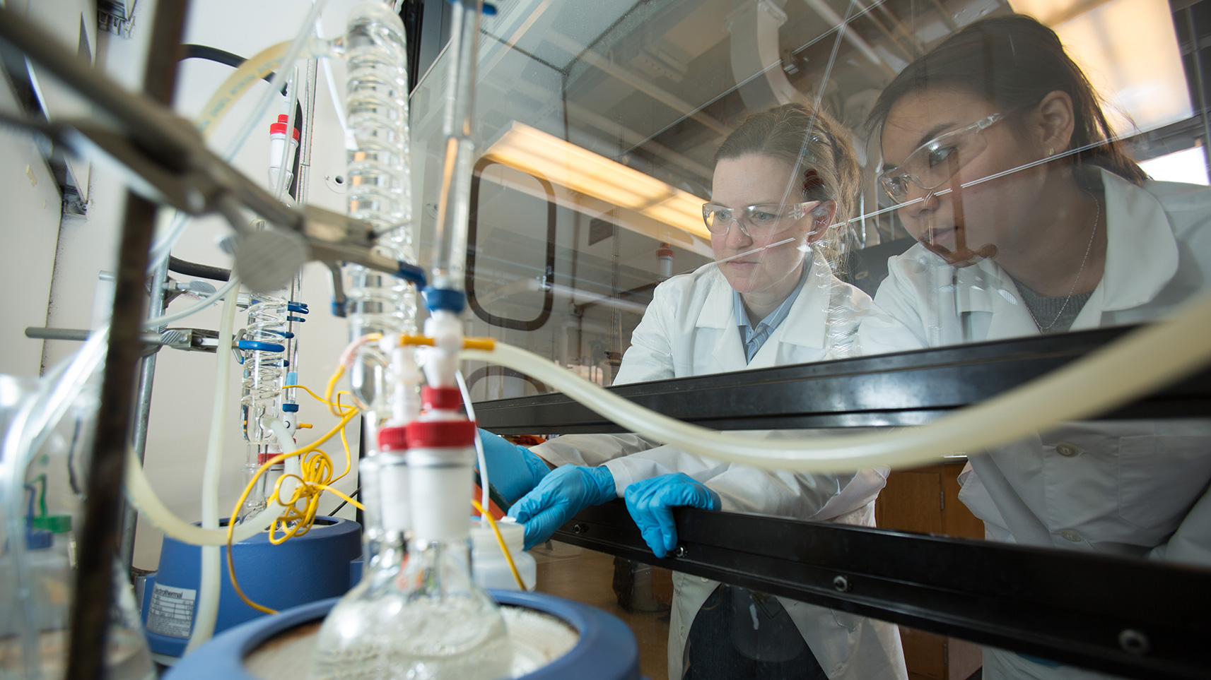 faculty and student working in fume hood