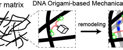 NSF Proposal Funded