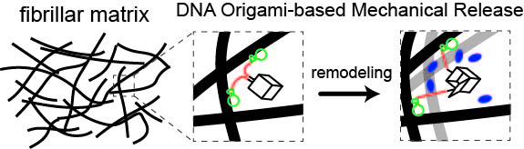 figure1latest