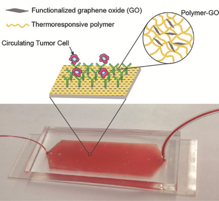 Tunable Thermal-Sensitive Polymer-Graphene Oxide Composite for Efficient Capture and Release of Viable Circulating Tumor Cells
