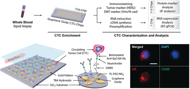 Characterizing Circulating Tumor Cells Isolated from Metastatic Breast Cancer Patients using Graphene Oxide Based Microfluidic Assay