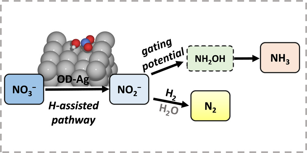 24. Electrocatalytic Nitrate Reduction on Oxide-Derived Silver with Tunable Selectivity to Nitrite and Ammonia