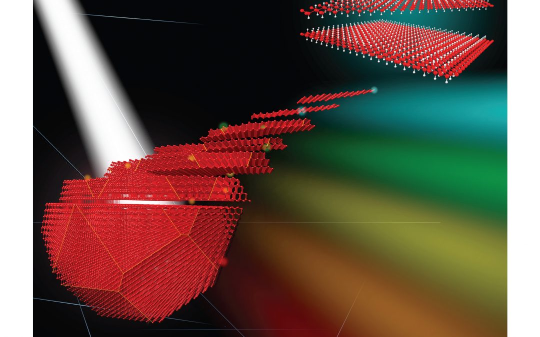 20. Silicene, Siloxene, or Silicane? Revealing the Structure and Optical Properties of Silicon Nanosheets Derived from Calcium Disilicide