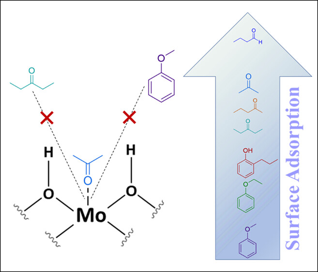 42. Elucidating the Competitive Hydrodeoxygenation of Lignin-Derived Oxygenates over Bulk MoO3 Catalyst through Kinetic Analysis
