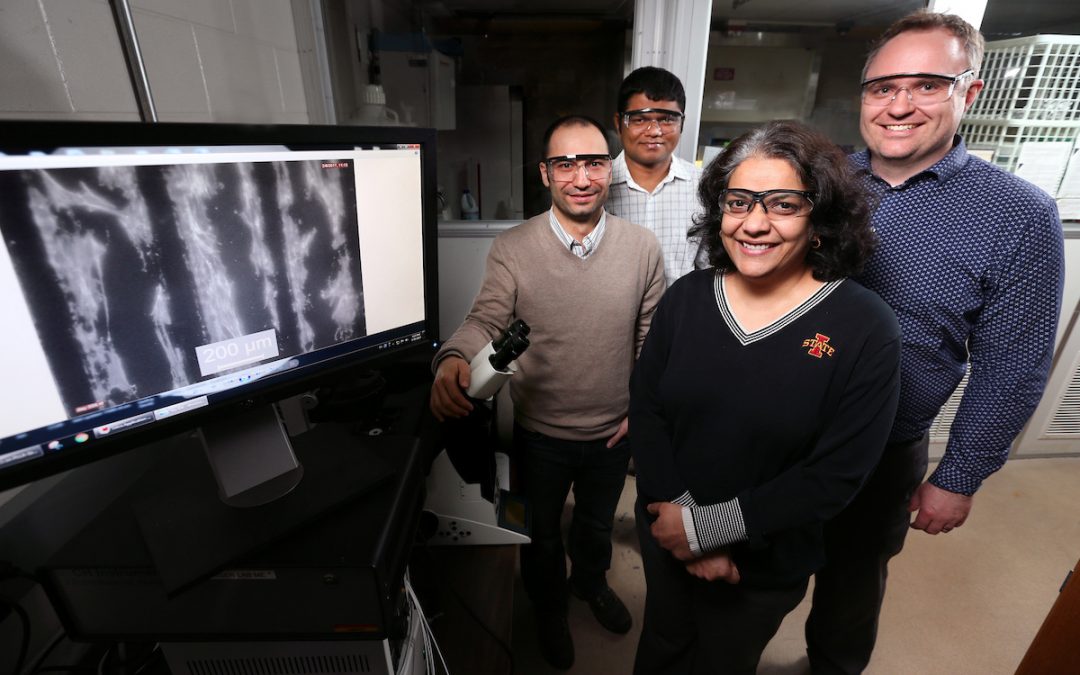 Iowa State researchers use graphene, electricity to change stem cells for nerve regrowth